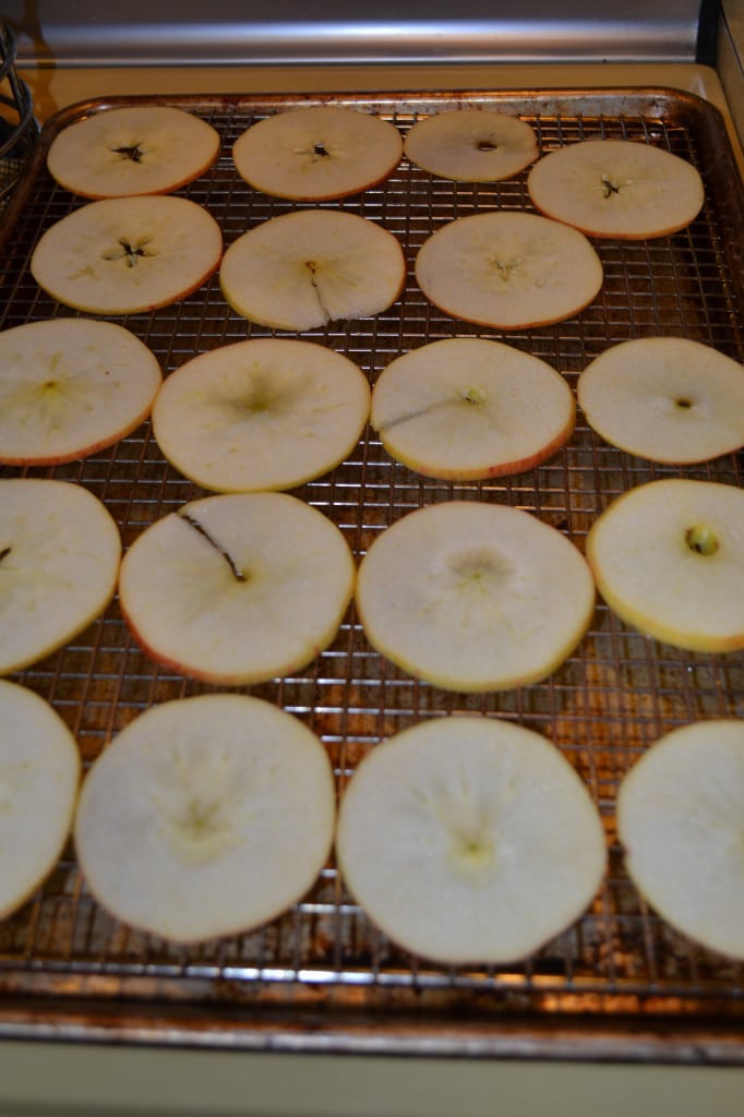Baked Apple Chips | Delish D'Lites