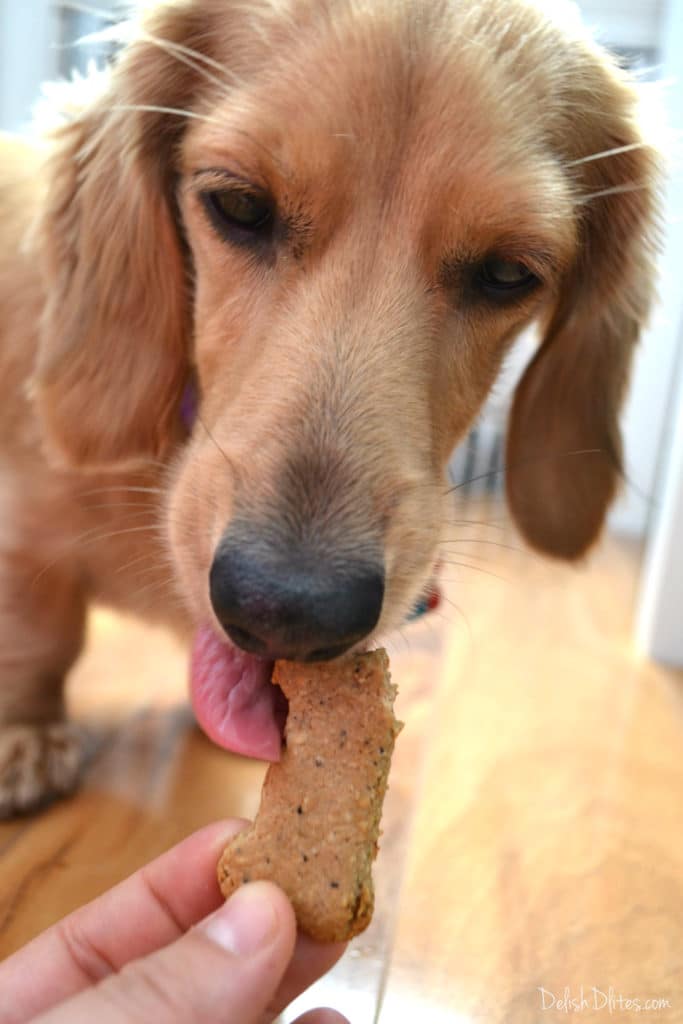 Oatmeal Peanut Butter & Blueberry Dog Treats | Delish D'Lites