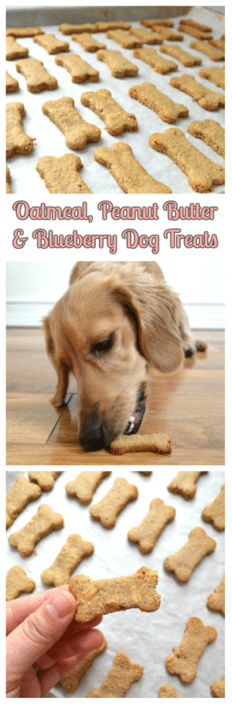 Oatmeal Peanut Butter & Blueberry Dog Treats | Delish D'Lites
